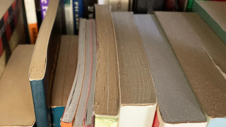 Books on a shelf.