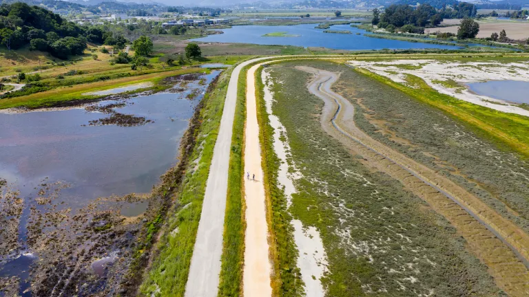 Bird's view of Hamilton Wetland Restoration Area, part of the San Francisco Bay Trail