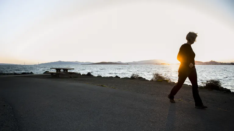 Silhouette of a person walking on the Bay Trail, with sunlight shining behind them.
