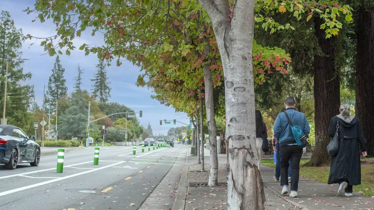 Pedestrians on a sidewalk near a protected bike lane in downtown Santa Rosa.