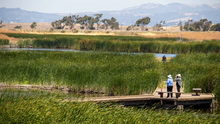 People walking on a wooden boardwalk on the Bay Trail in Coyote Hills Regional Park, Fremont CA.