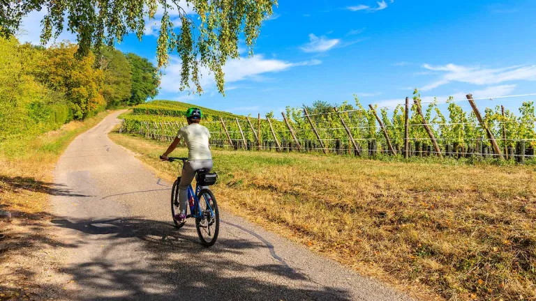 Napa Valley Forward