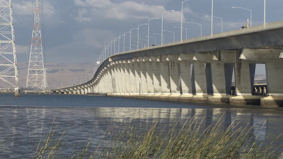 The Dumbarton Bridge, with reeds in the foreground, rises over the San Francisco Bay.