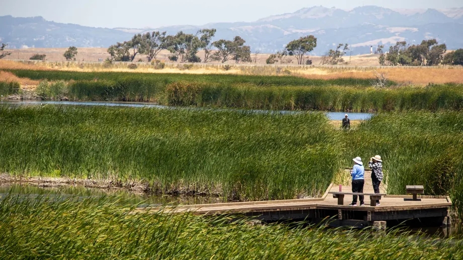 People walking on a wooden boardwalk on the Bay Trail in Coyote Hills Regional Park, Fremont CA.
