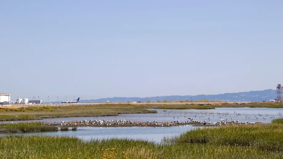 A segment of the Bay Trail near San Francisco International Airport.